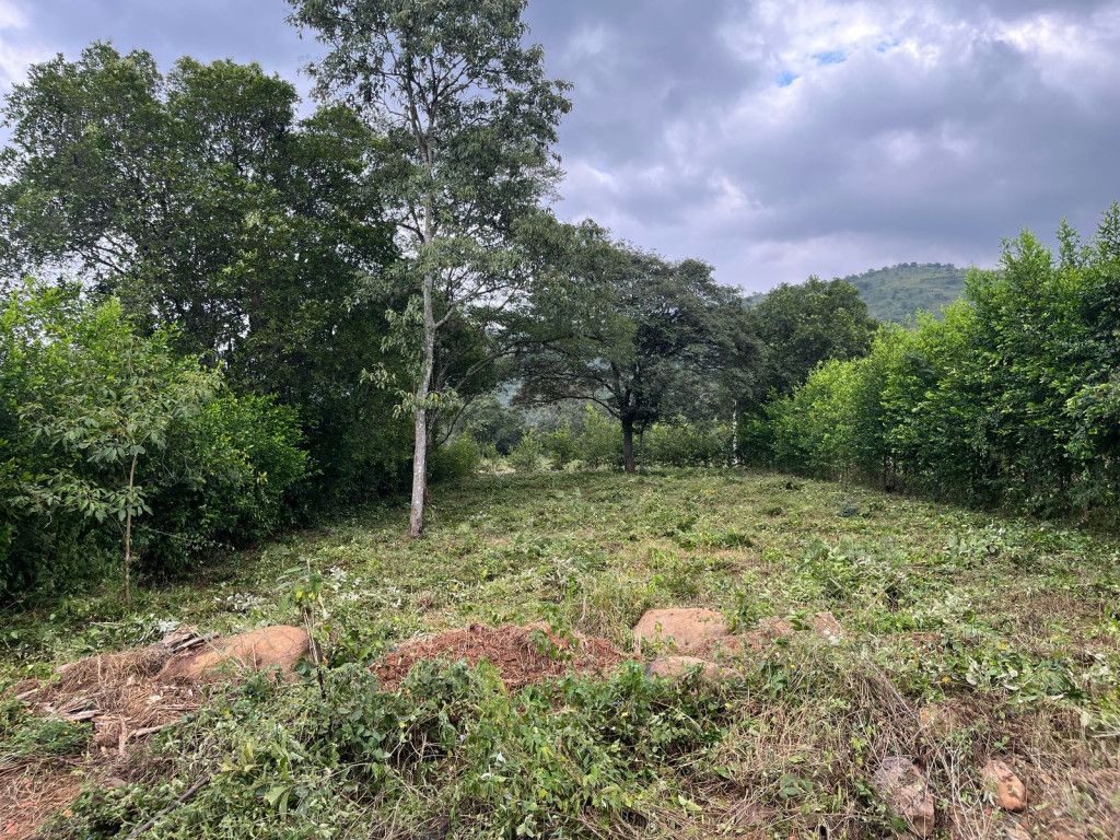 Lote en venta Norte De Santander Los Patios Los Patios 0 m2 Habitaciones 0 Baños 0 Garajes 0 Precio $120000000