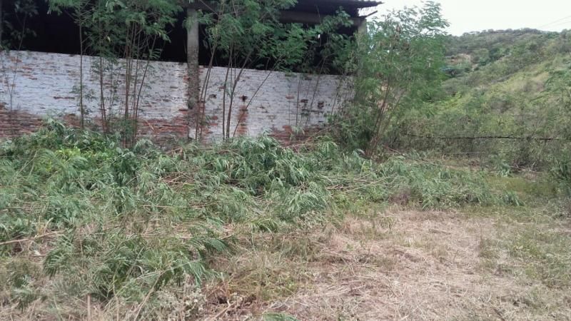 Lote en venta Norte De Santander Cúcuta Niña Ceci 1317 m2 Habitaciones 0 Baños 0 Garajes 0 Precio $150000000