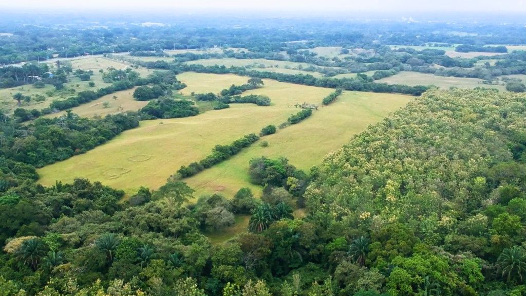 Finca en venta Tolima Guamo Guamo 10000 m2 Habitaciones 0 Baños 0 Garajes 0 Precio $3706000000