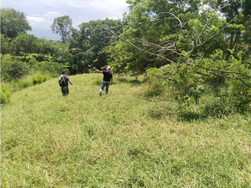 Lote en venta Caldas Palestina Palestina 4352 m2 Habitaciones 0 Baños 0 Garajes 0 Precio $500000000