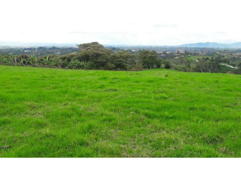 Lote en venta Antioquia El Carmen De Viboral El Centro 2444 m2 Habitaciones 0 Baños 0 Garajes 0 Precio $452000000