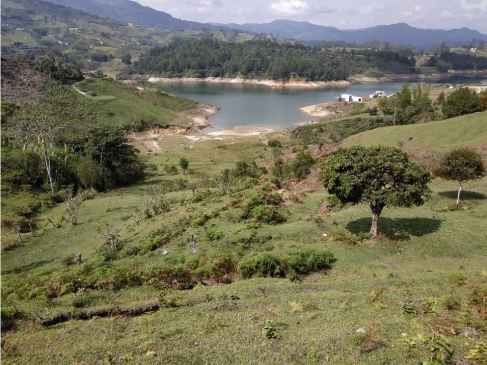 Lote en venta Antioquia Guatape Guatape 81000 m2 Habitaciones 0 Baños 0 Garajes 0 Precio $9720000000