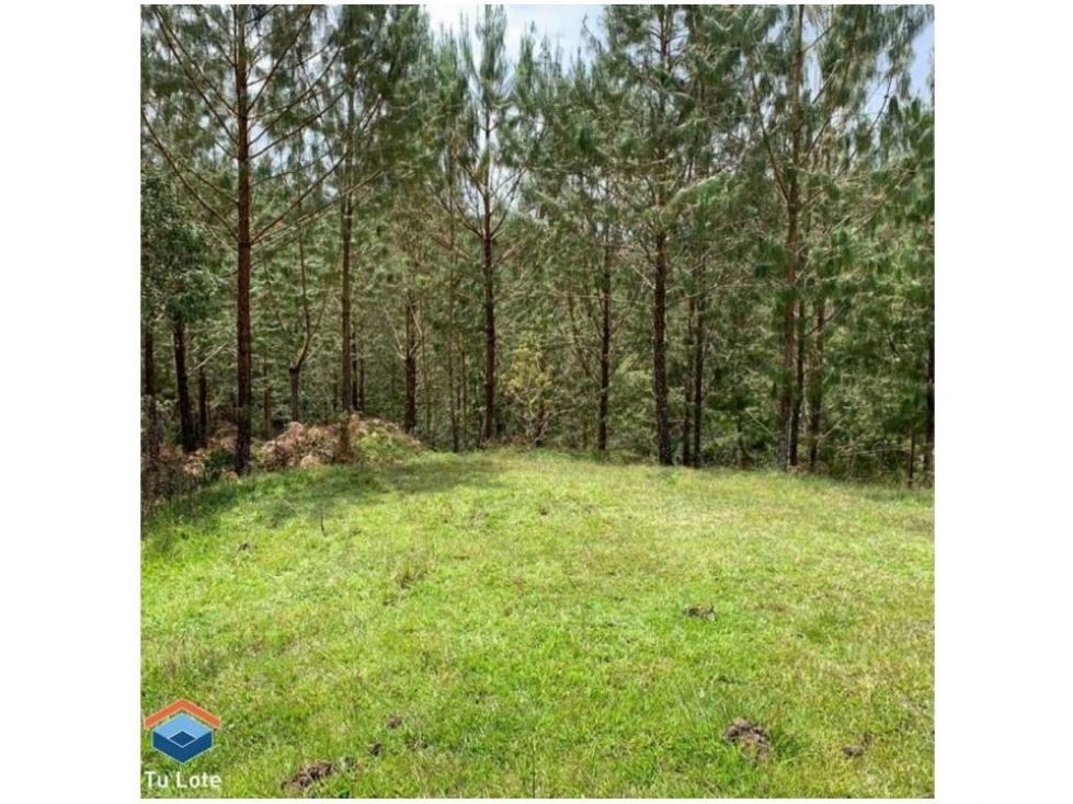 Lote en venta Antioquia El Carmen De Viboral La Alhambra 15000 m2 Habitaciones 0 Baños 0 Garajes 0 Precio $2400000000