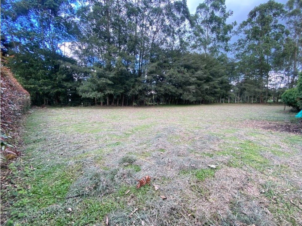 Lote en venta Antioquia Rionegro Rionegro 0 m2 Habitaciones 0 Baños 0 Garajes 0 Precio $1300000000