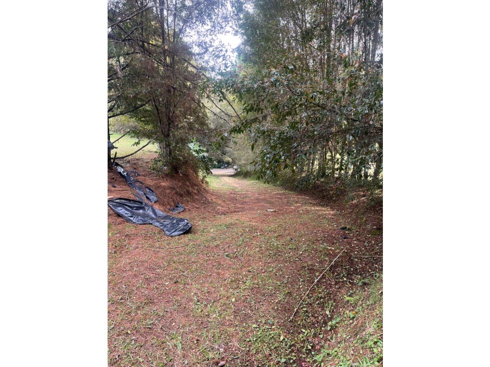 Lote en venta Antioquia Medellín Medellín 3410 m2 Habitaciones 0 Baños 0 Garajes 0 Precio $2100000000