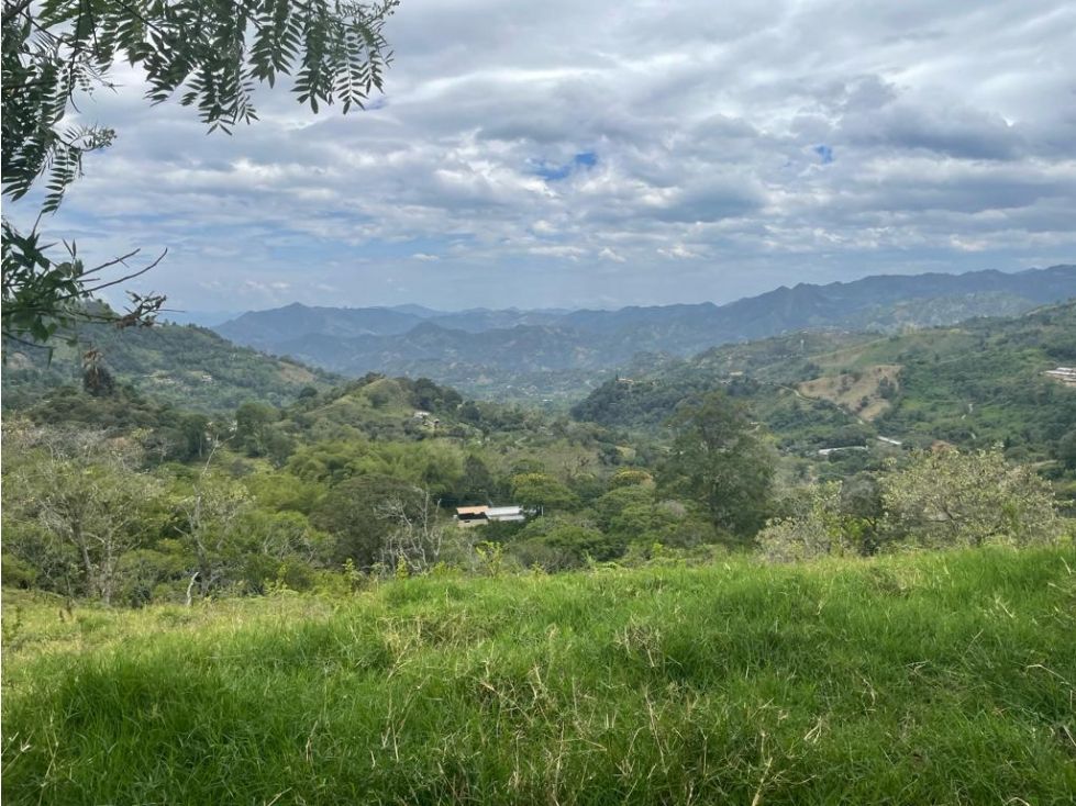 Lote en venta Cundinamarca La Vega La Vega 90589 m2 Habitaciones 0 Baños 0 Garajes 0 Precio $1800000000