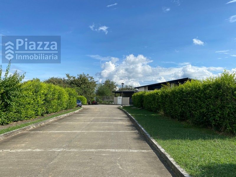 Lote en venta Tolima Ibagué San Martin 4172 m2 Habitaciones 0 Baños 0 Garajes 0 Precio $1290000000