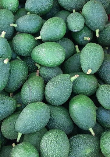 Finca en venta Cundinamarca Fusagasugá Fusagasuga 65000 m2 Habitaciones 0 Baños 0 Garajes 0 Precio $2500000000