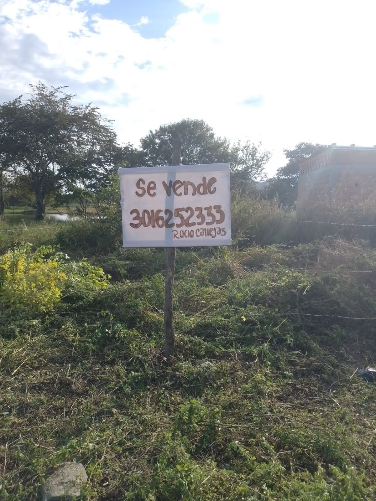 Lote en venta Tolima Ibagué Ub Ibague 2000 60 m2 Habitaciones 0 Baños 0 Garajes 0 Precio $29000000