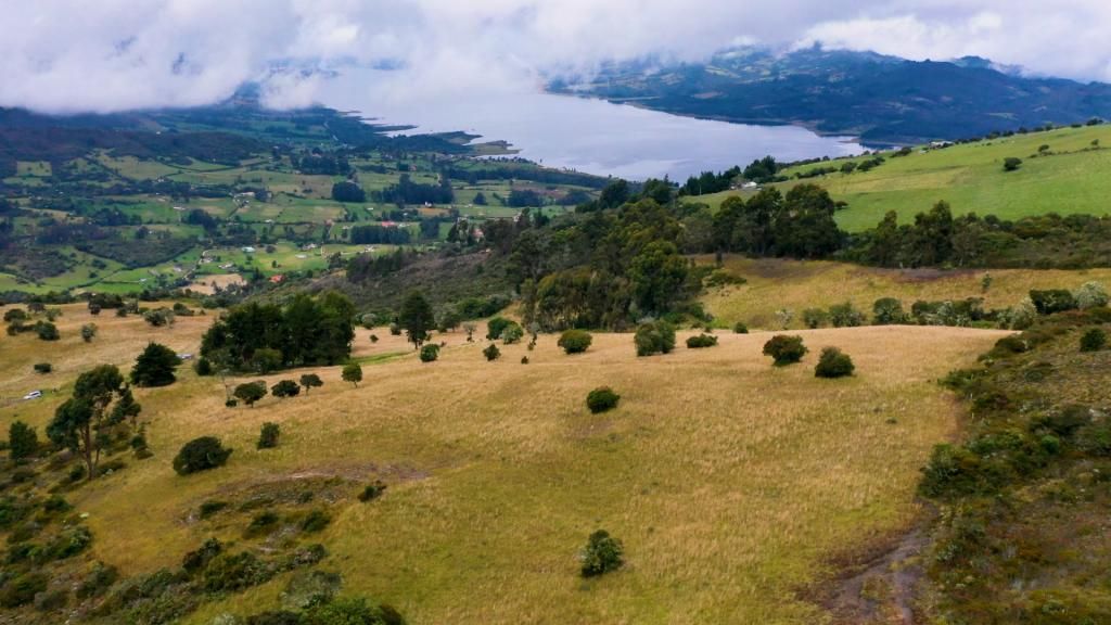 Lote en venta Cundinamarca Sesquilé Sesquile 0 m2 Habitaciones 0 Baños 0 Garajes 0 Precio $3200000000