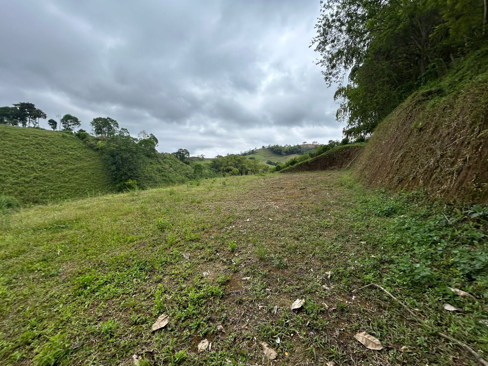 Lote en venta Risaralda Pereira Jardin De Velez Y Velez 2040 m2 Habitaciones 0 Baños 0 Garajes 0 Precio $400000000