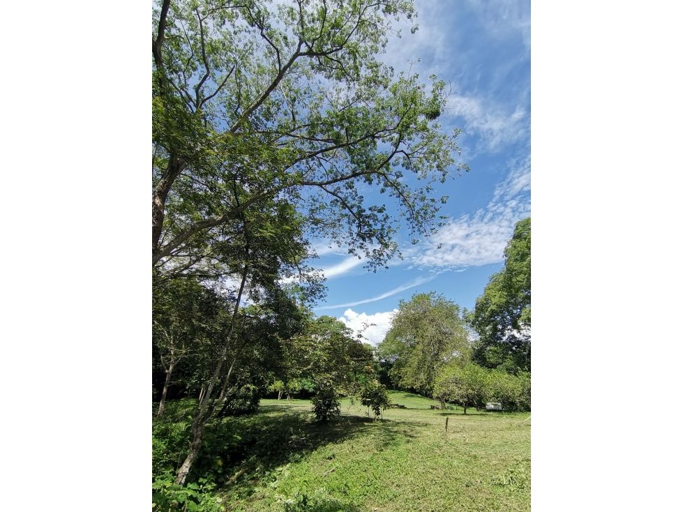 Lote en venta Quindío Armenia Sector Centro 10517 m2 Habitaciones 0 Baños 0 Garajes 0 Precio $630000000