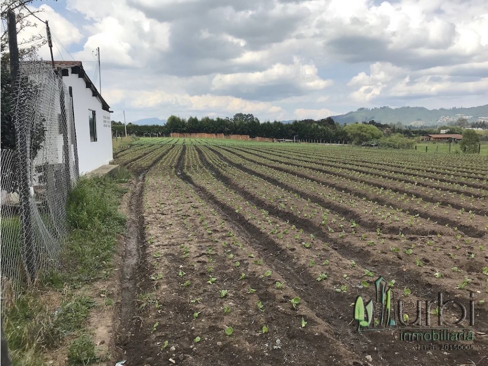 Lote en venta Cundinamarca Cajicá Cr Caminos De Chunugua 12997 m2 Habitaciones 0 Baños 0 Garajes 0 Precio $12997500000