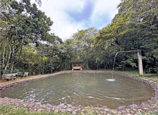 Casa en venta Valle Del Cauca Cali Cali 250 m2 Habitaciones 3 Baños 3 Garajes 4 Precio $1200000000