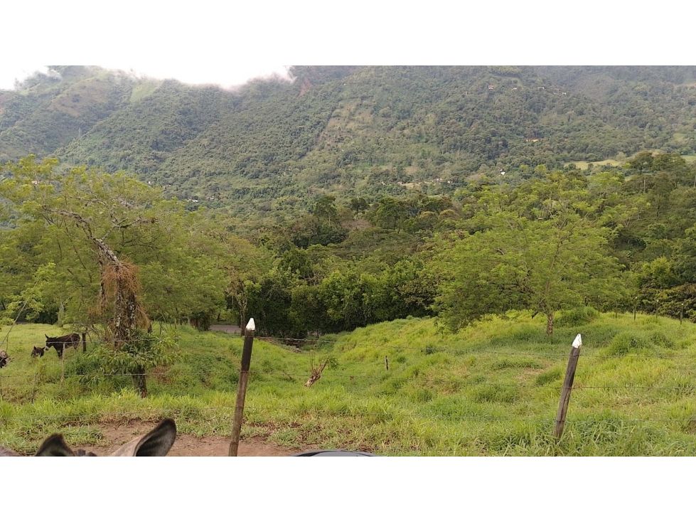 Lote en venta Antioquia Amagá Amagá 714 m2 Habitaciones 0 Baños 0 Garajes 0 Precio $190000000
