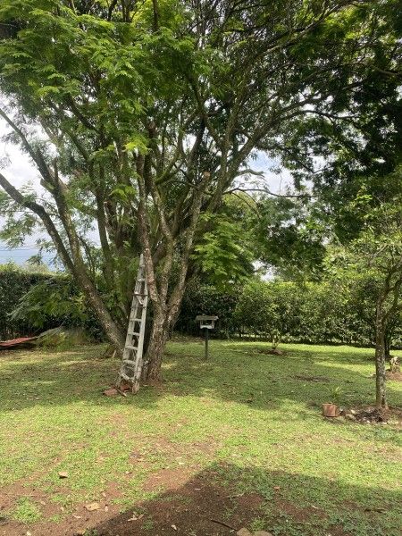 Casa en arriendo Valle Del Cauca Jamundí Cn Campestre Las Mercedes 217 m2 Habitaciones 4 Baños 3 Garajes 5 Precio $4400000