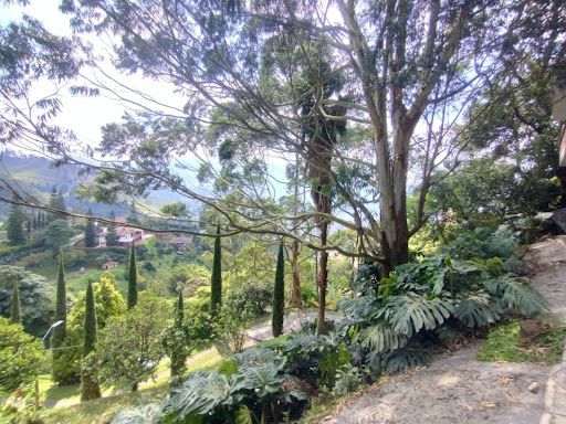 Casa Campestre en arriendo Antioquia Sabaneta Vereda La Doctora 150 m2 Habitaciones 2 Baños 2 Garajes 1 Precio $4500000