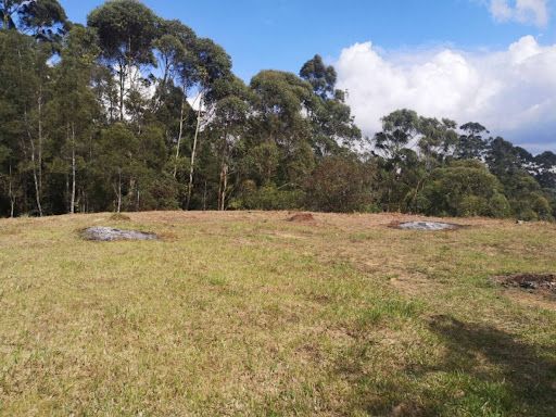 Lote en venta Antioquia Rionegro El Porvenir 7950 m2 Habitaciones 0 Baños 0 Garajes 0 Precio $795000000