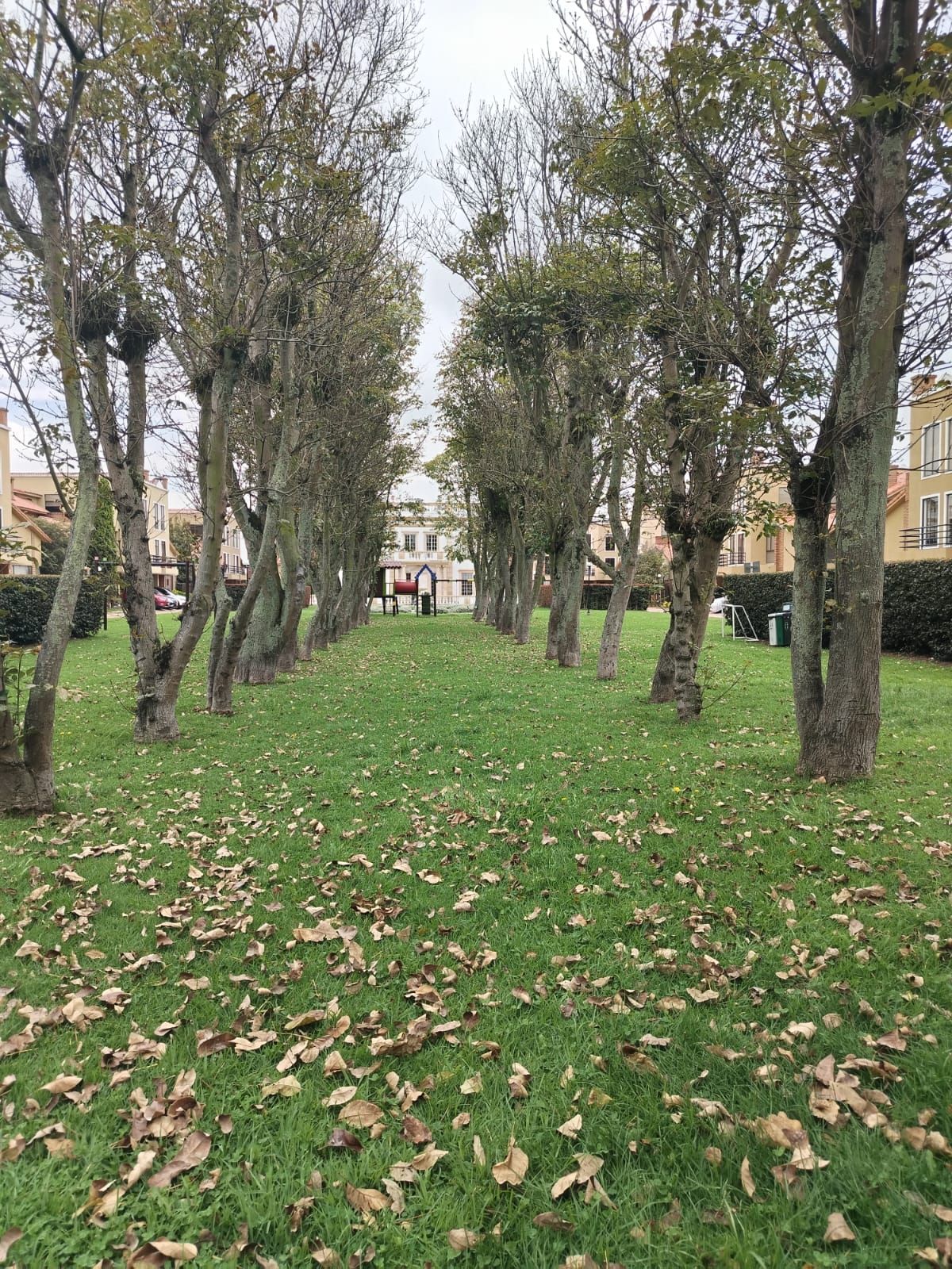 Casa en arriendo o venta Cundinamarca Chía Los Nogales 287 m2 Habitaciones 4 Baños 5 Garajes 2 Precio venta $1250000000 Precio arriendo $7450000