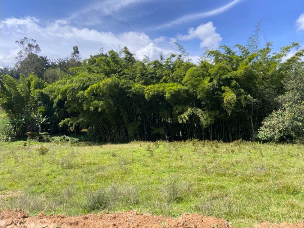 Lote en venta Antioquia El Santuario Vista Hermosa 2731 m2 Habitaciones 0 Baños 0 Garajes 0 Precio $491580000
