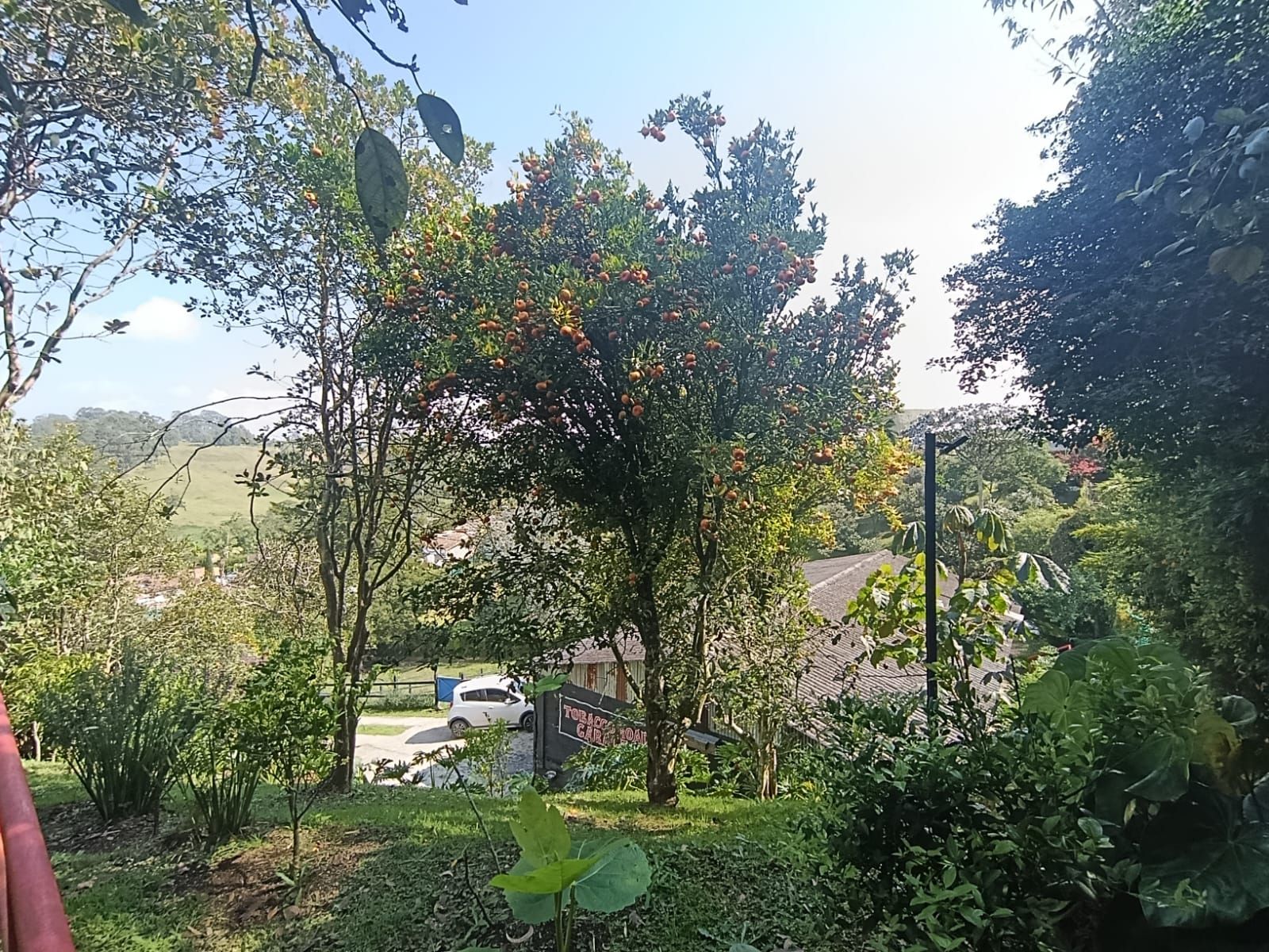 Bodega en arriendo Antioquia Rionegro El Porvenir 180 m2 Habitaciones 0 Baños 1 Garajes 3 Precio $6000000
