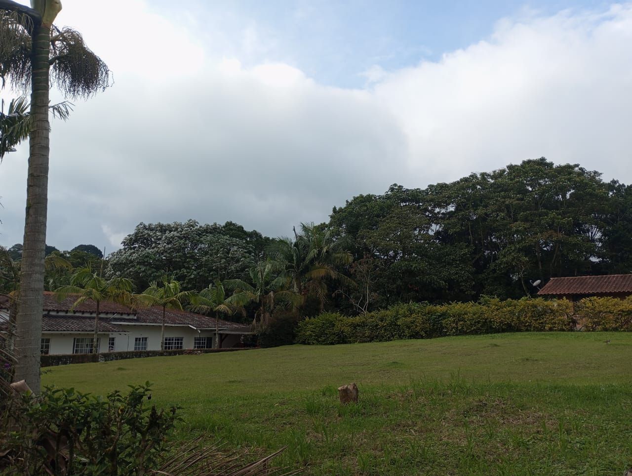 Lote en venta Quindío Circasia Quebrada Las Yeguas 930 m2 Habitaciones 0 Baños 0 Garajes 0 Precio $500000000