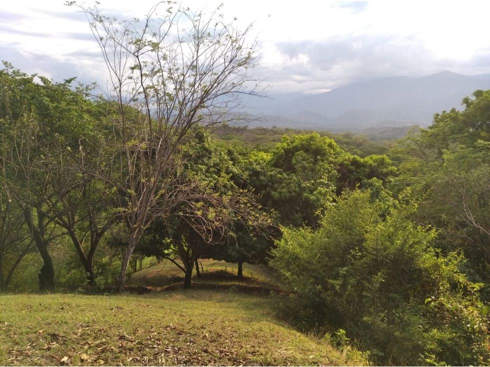 Lote en venta Antioquia Sopetrán Sopetran 8003 m2 Habitaciones 0 Baños 0 Garajes 0 Precio $560000000