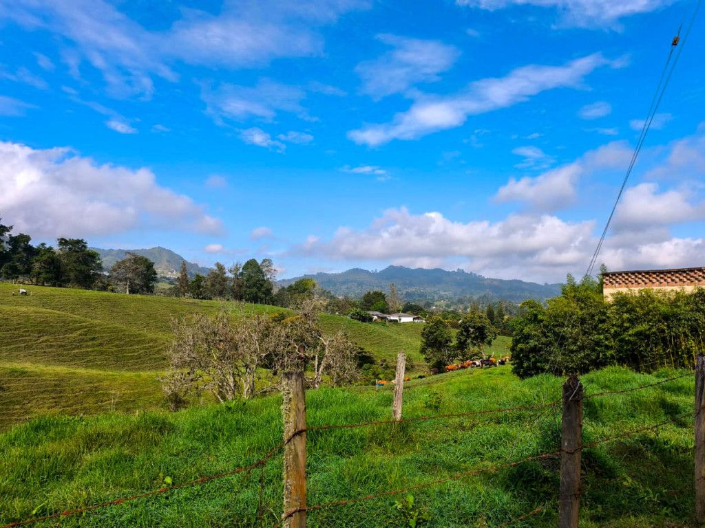 Lote en venta Antioquia La Ceja La Ceja 0 m2 Habitaciones 0 Baños 0 Garajes 0 Precio $9680000000
