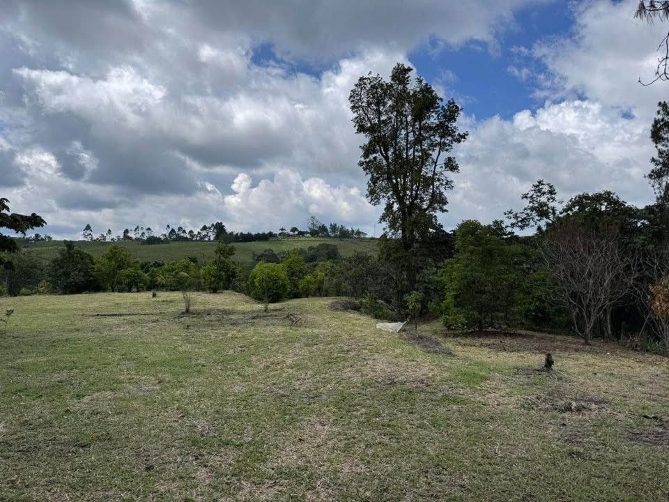 Lote en venta Cauca Popayán Popayán 10000 m2 Habitaciones 0 Baños 0 Garajes 0 Precio $600000000