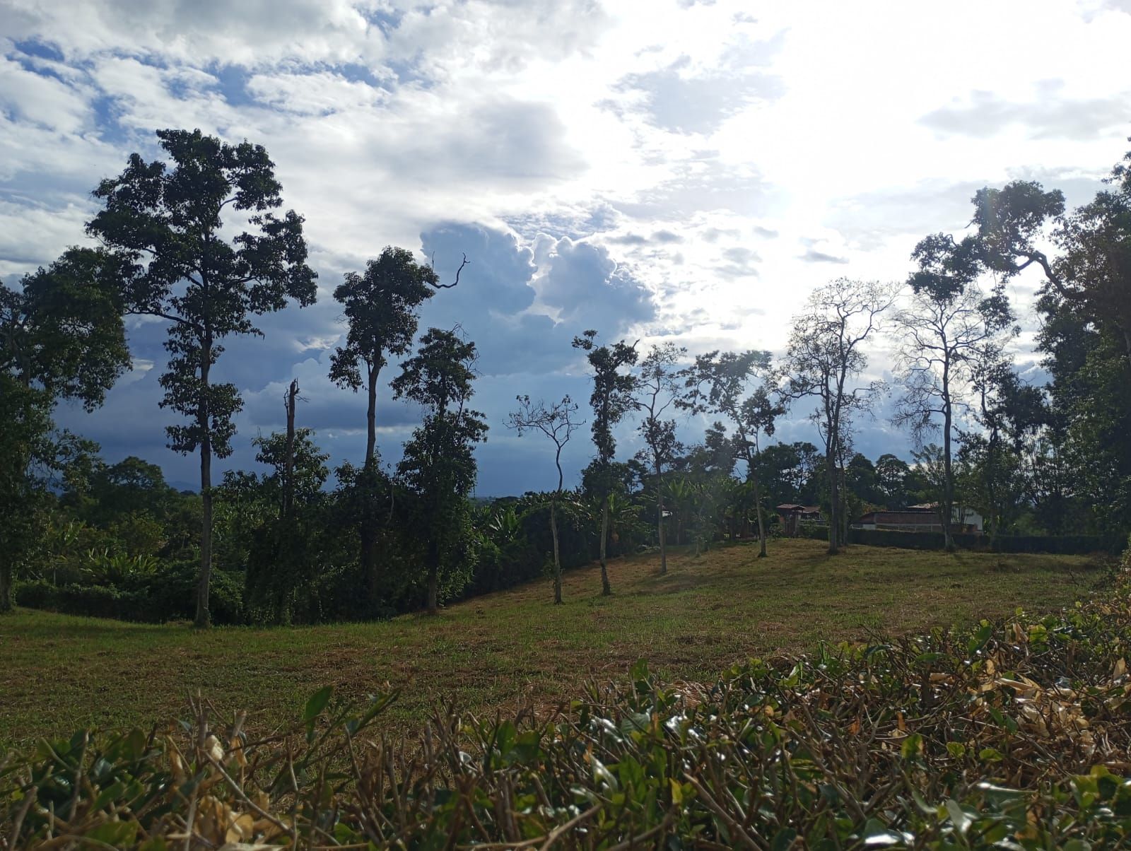 Lote en venta Quindío Armenia Villa Liliana 30 m2 Habitaciones 0 Baños 0 Garajes 0 Precio $550000000