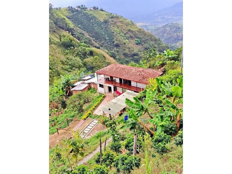 Finca en venta Antioquia Santa Bárbara Santa Bárbara 5600 m2 Habitaciones 4 Baños 2 Garajes 0 Precio $280000000