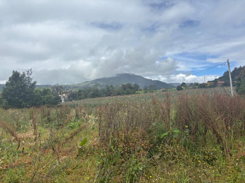 Lote en venta Cundinamarca La Calera La Calera 0 m2 Habitaciones 0 Baños 1 Garajes 1 Precio $430000000