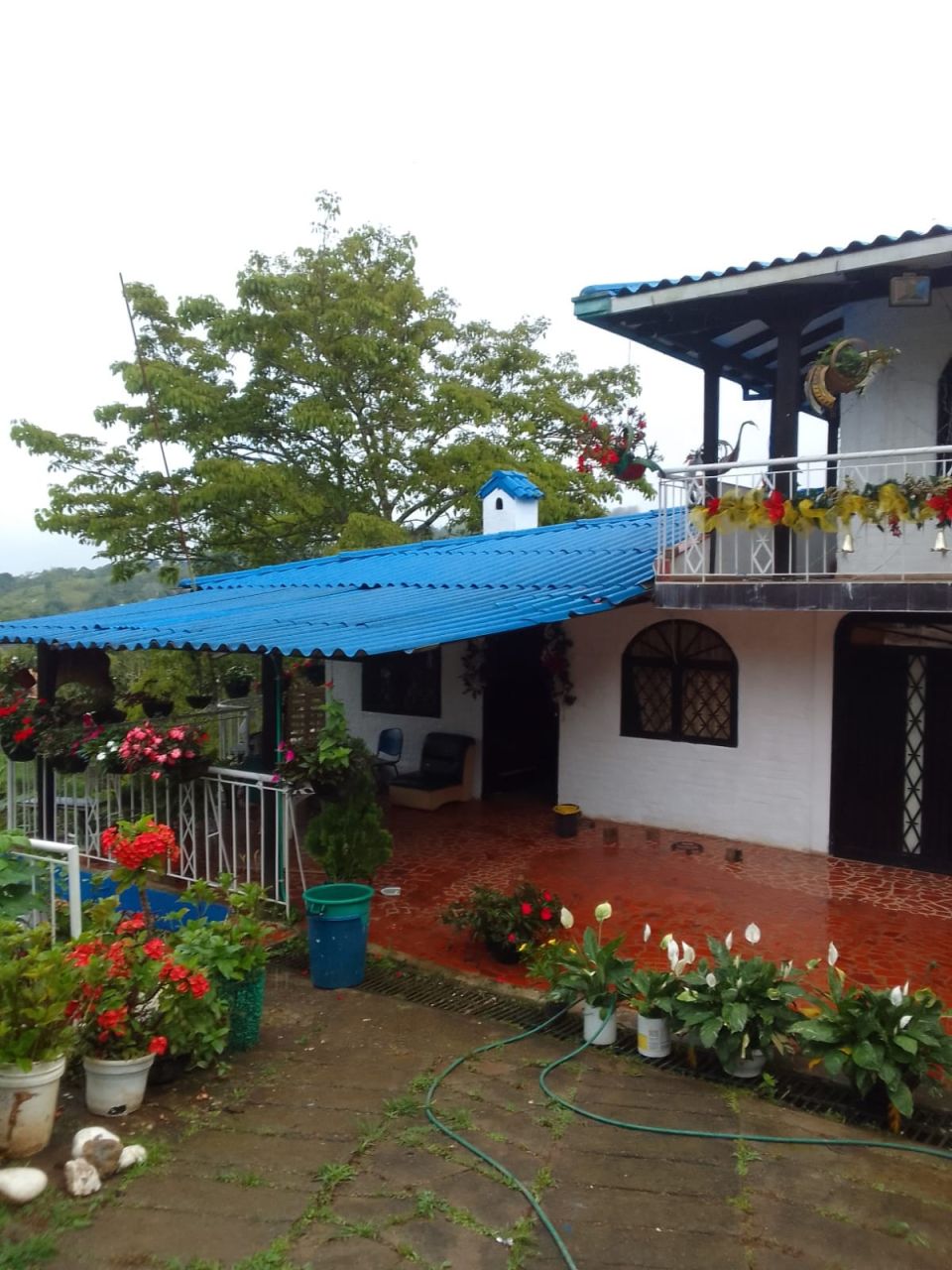 Finca en venta Valle Del Cauca Cali Cali 1449 m2 Habitaciones 2 Baños 4 Garajes 0 Precio $420000000