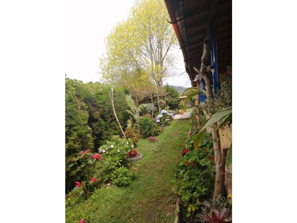 Casa Campestre en venta Antioquia Guarne Guarne 114 m2 Habitaciones 3 Baños 2 Garajes 0 Precio $950000000