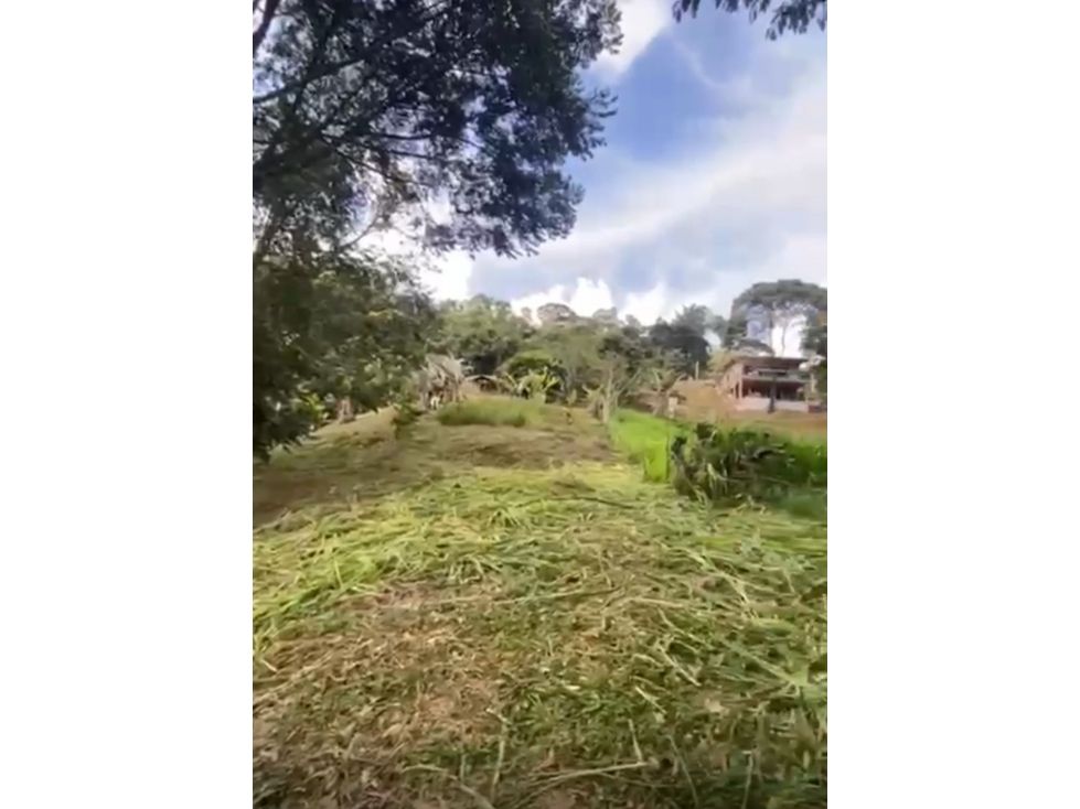 Lote en venta Antioquia San Carlos San Carlos 2517 m2 Habitaciones 0 Baños 0 Garajes 0 Precio $2600000000