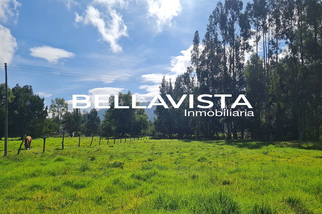 Lote en venta Boyacá Paipa Las Quintas 20 m2 Habitaciones 0 Baños 0 Garajes 0 Precio $1080000000