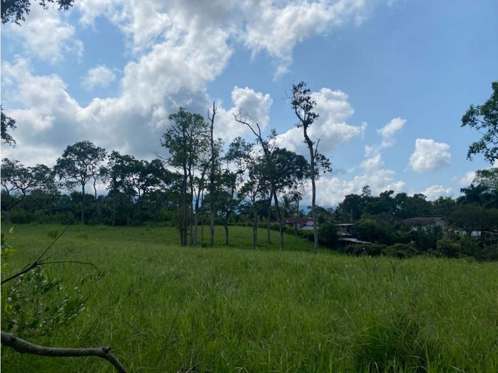 Lote en venta Quindío Armenia Armenia 6400 m2 Habitaciones 0 Baños 0 Garajes 0 Precio $500000000