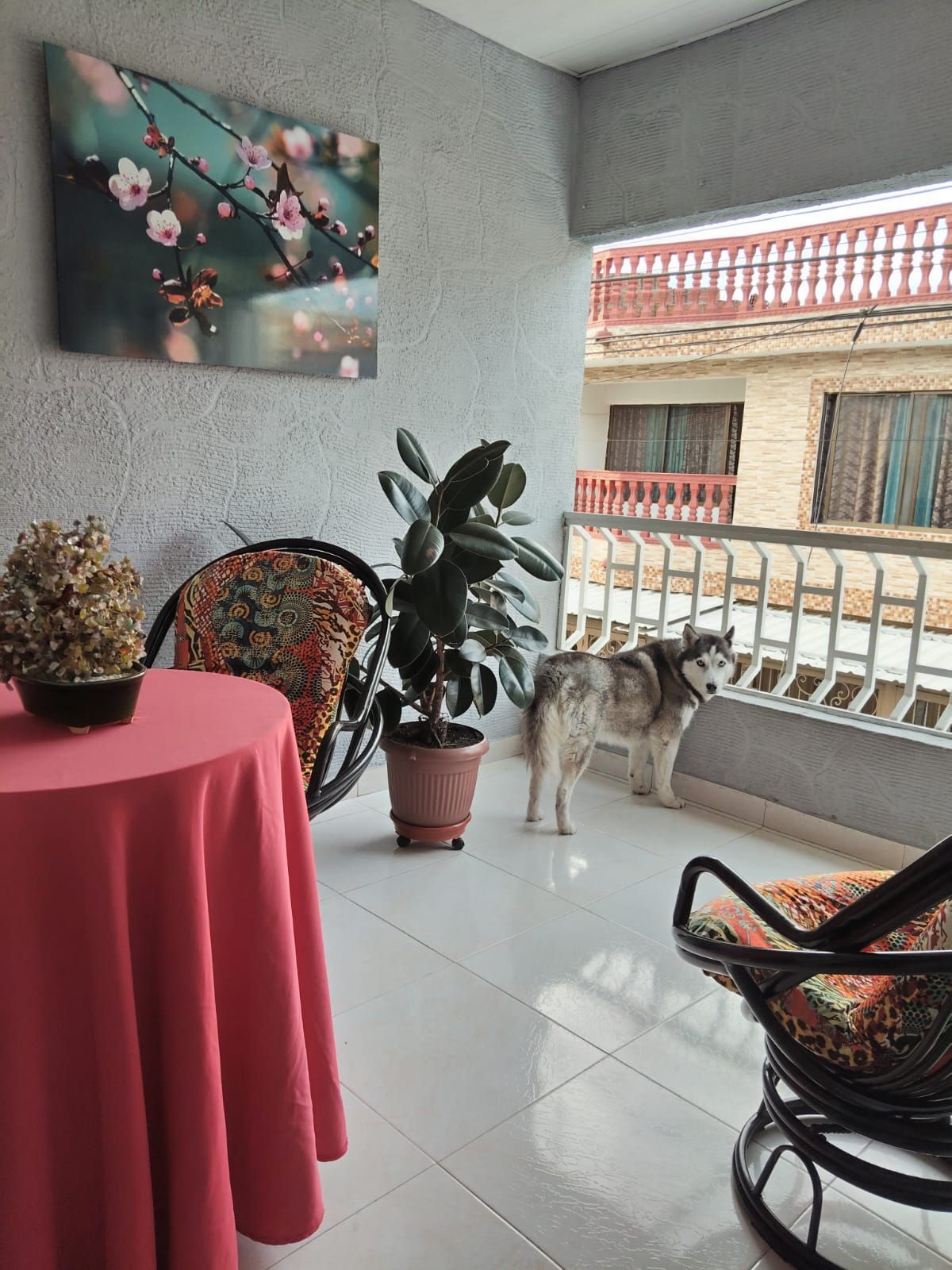 Casa en venta Valle Del Cauca Palmira Popular Modelo 257 m2 Habitaciones 6 Baños 5 Garajes 0 Precio $530000000