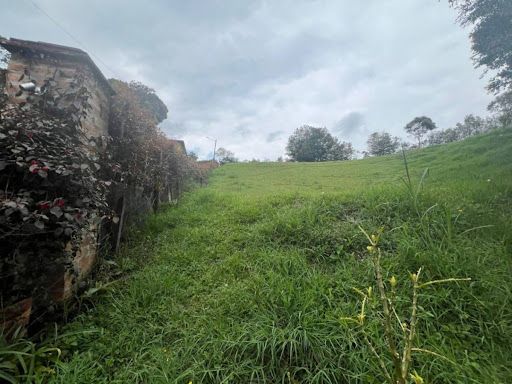 Lote en venta Antioquia El Carmen De Viboral La Alhambra 1953 m2 Habitaciones 0 Baños 0 Garajes 0 Precio $920000000