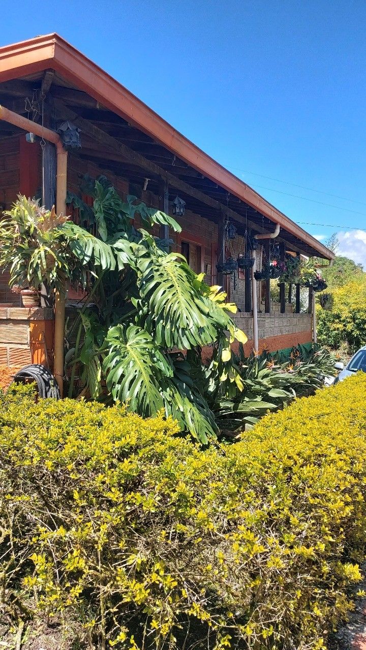 Finca en venta Antioquia Peñol Peñol 160 m2 Habitaciones 5 Baños 2 Garajes 7 Precio $950000000