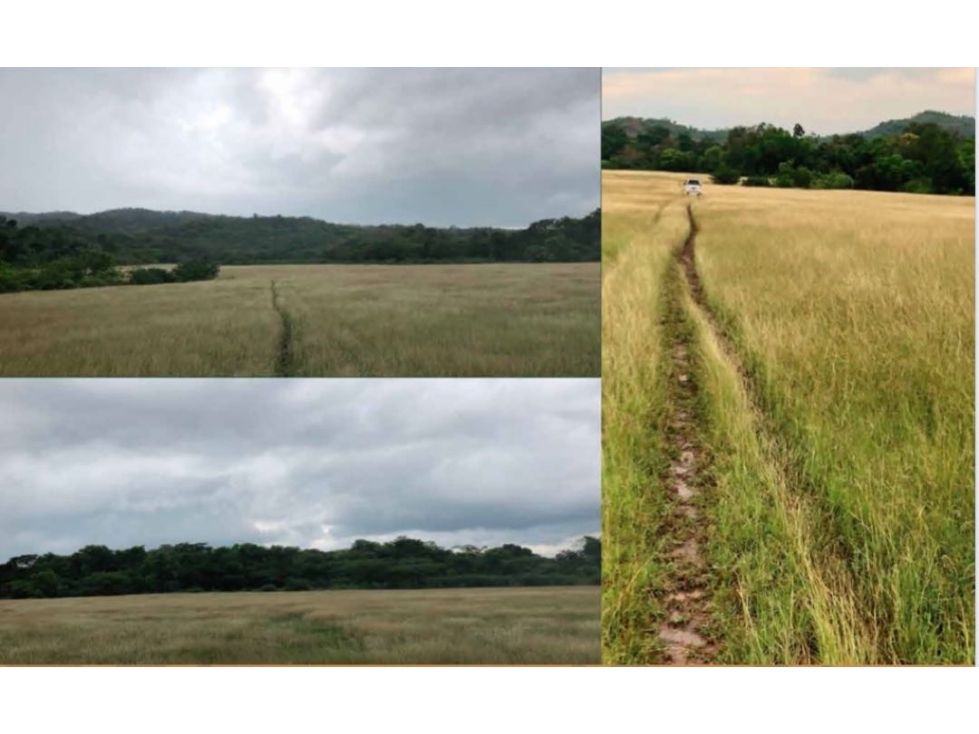 Lote en venta Cundinamarca Agua De Dios Agua De Dios 4600 m2 Habitaciones 0 Baños 0 Garajes 0 Precio $400000000