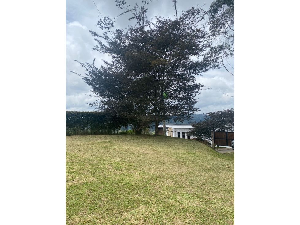 Lote en venta Antioquia Guarne Centro 2075 m2 Habitaciones 0 Baños 0 Garajes 0 Precio $453000000