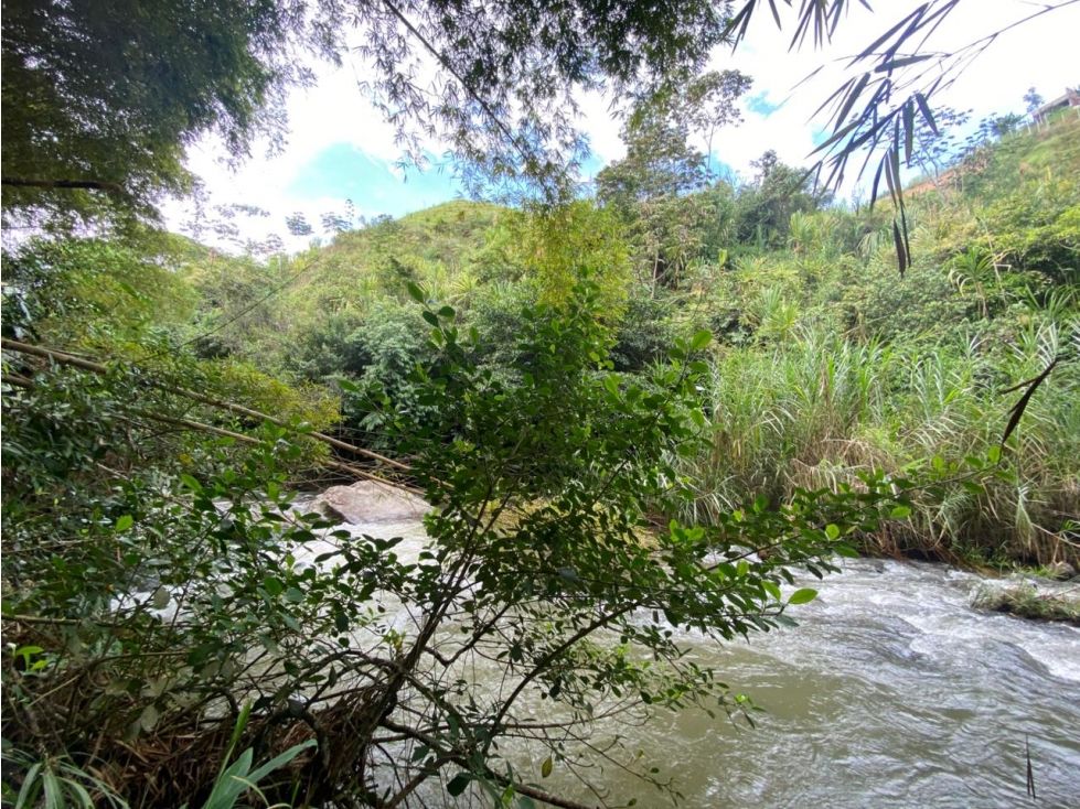 Lote en venta Valle Del Cauca Cali San Pedro 1500 m2 Habitaciones 0 Baños 0 Garajes 0 Precio $350000000