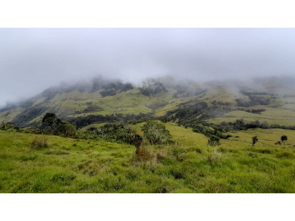 Finca en venta Caldas Manizales Manizales 348 m2 Habitaciones 2 Baños 1 Garajes 12 Precio $2800000000