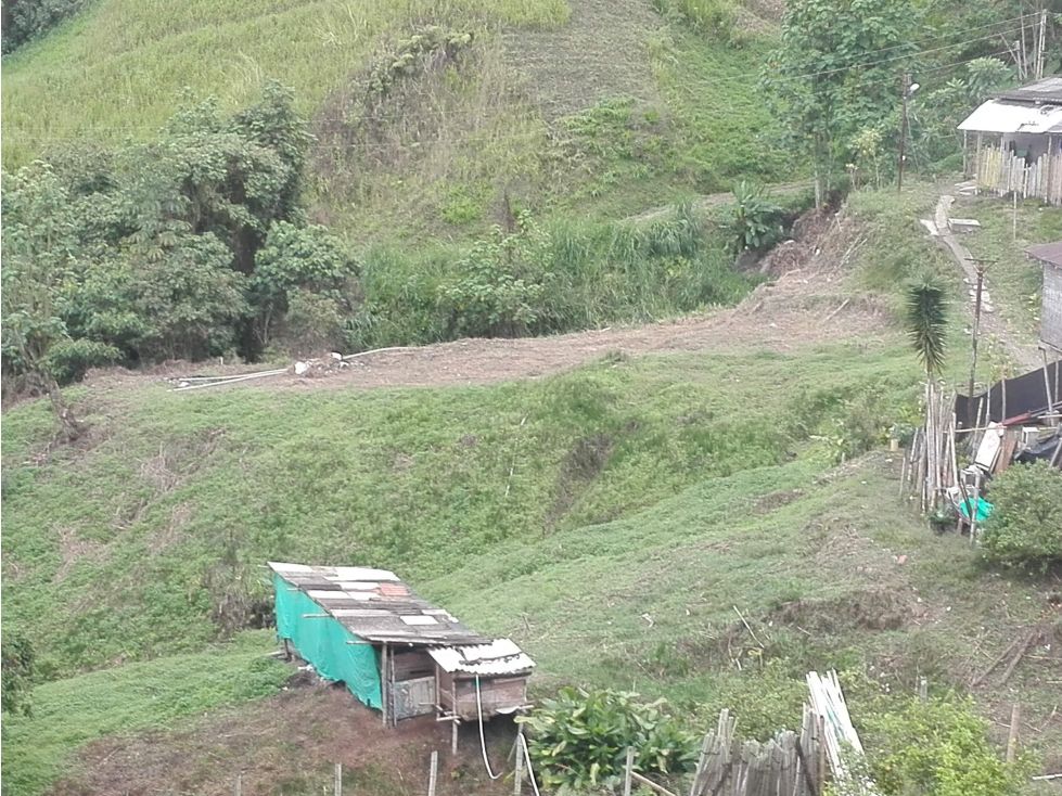 Lote en venta Caldas Manizales Morrogacho 5800 m2 Habitaciones 0 Baños 0 Garajes 0 Precio $5000000000