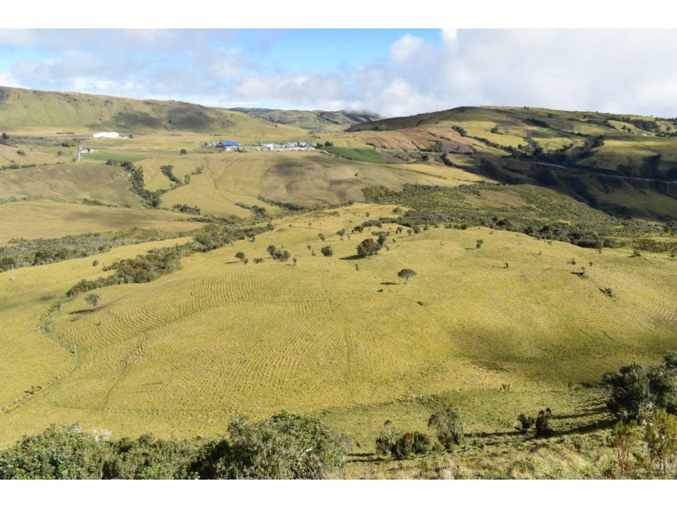 Finca en venta Caldas Manizales Manizales 6000000 m2 Habitaciones 0 Baños 0 Garajes 0 Precio $650000000