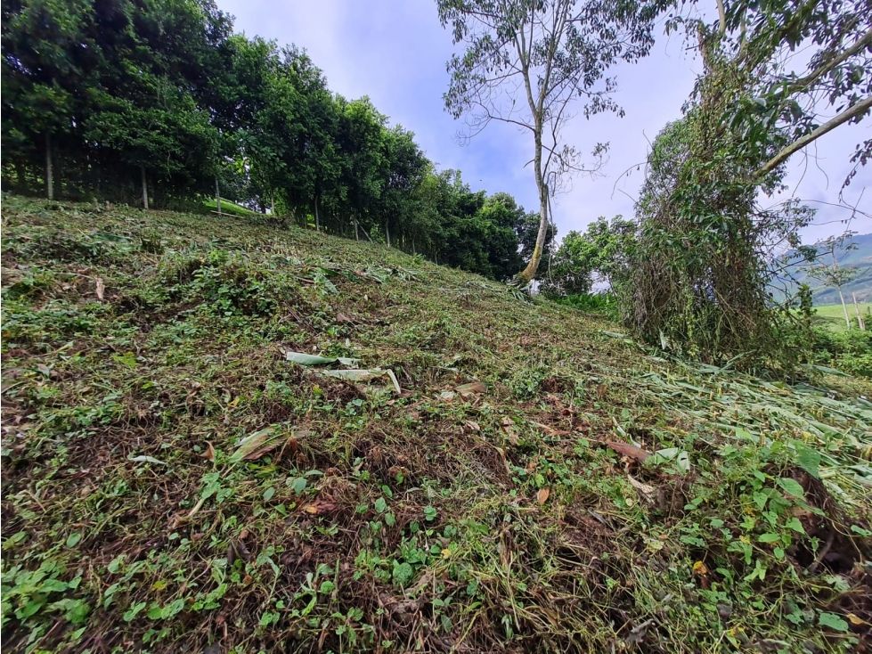 Finca en venta Caldas Manizales El Bosque 8916 m2 Habitaciones 0 Baños 0 Garajes 0 Precio $673430000