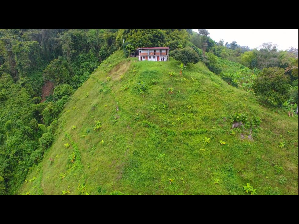 Lote en venta Caldas Manizales Manizales 21500 m2 Habitaciones 0 Baños 0 Garajes 0 Precio $370000000
