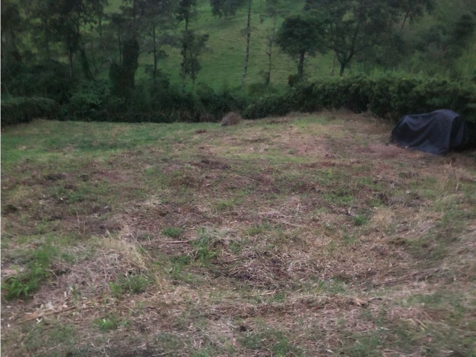 Lote en venta Caldas Chinchiná Chinchiná 926 m2 Habitaciones 0 Baños 0 Garajes 0 Precio $350000000