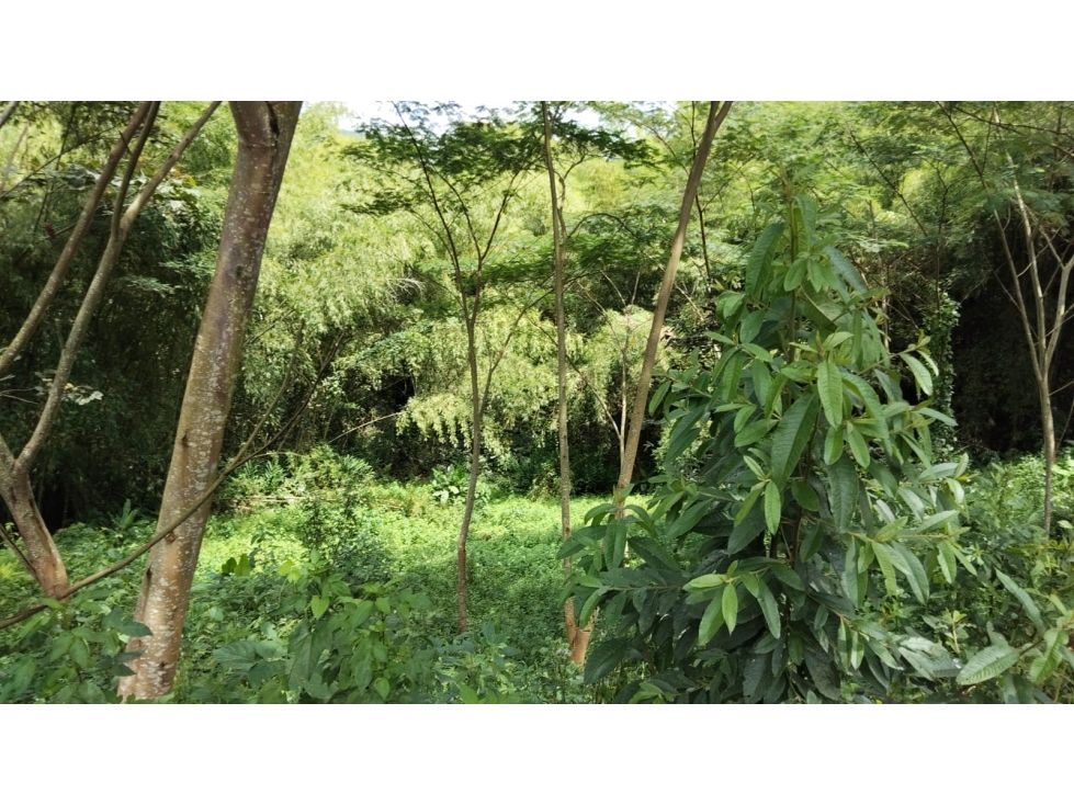 Finca en venta Caldas Manizales Manizales 1488 m2 Habitaciones 0 Baños 0 Garajes 0 Precio $320000000